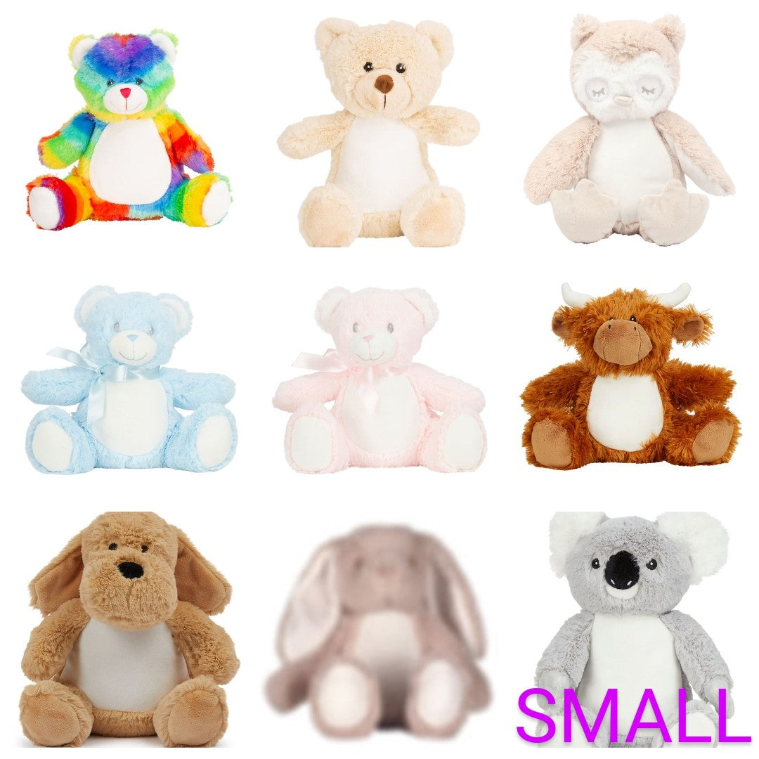 Blue Rainbow Birth Teddy